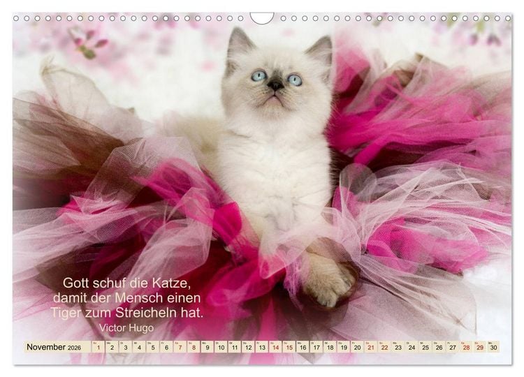 Produktbild: Samtpfoten Lebendige Poesie (Wandkalender 2026 DIN A3 quer), CALVENDO Monatskalender