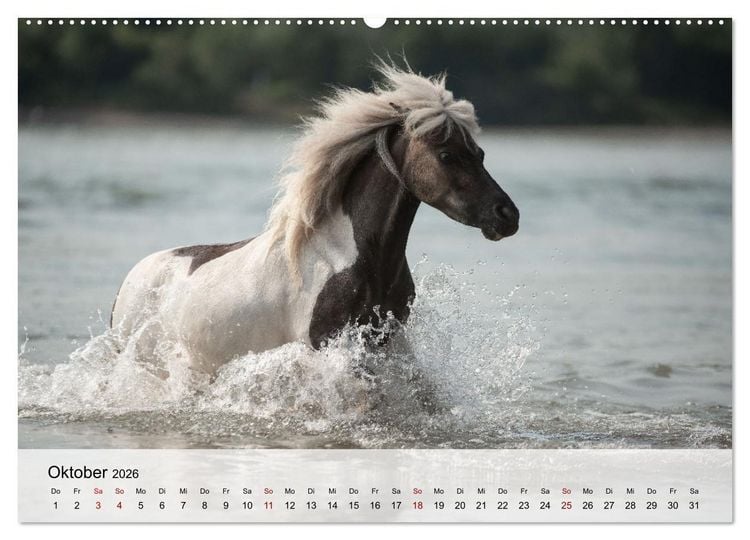 Produktbild: Pferde 2026 Kraft und Anmut (hochwertiger Premium Wandkalender 2026 DIN A2 quer), Kunstdruck in Hochglanz