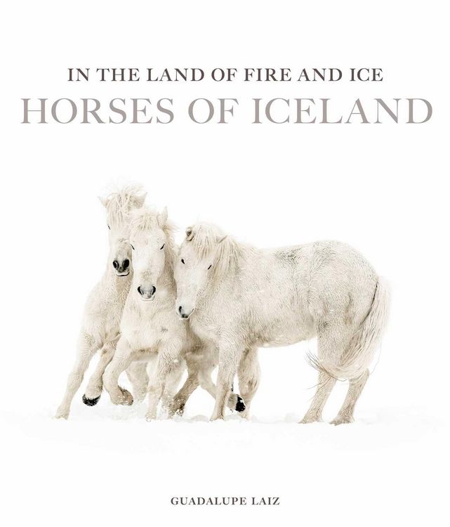 Produktbild: In the Land of Fire and Ice