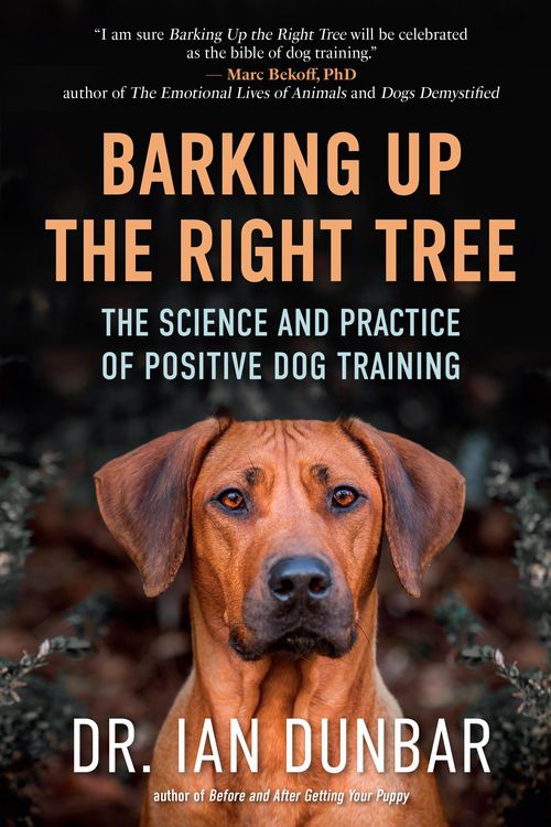 Produktbild: Barking Up the Right Tree