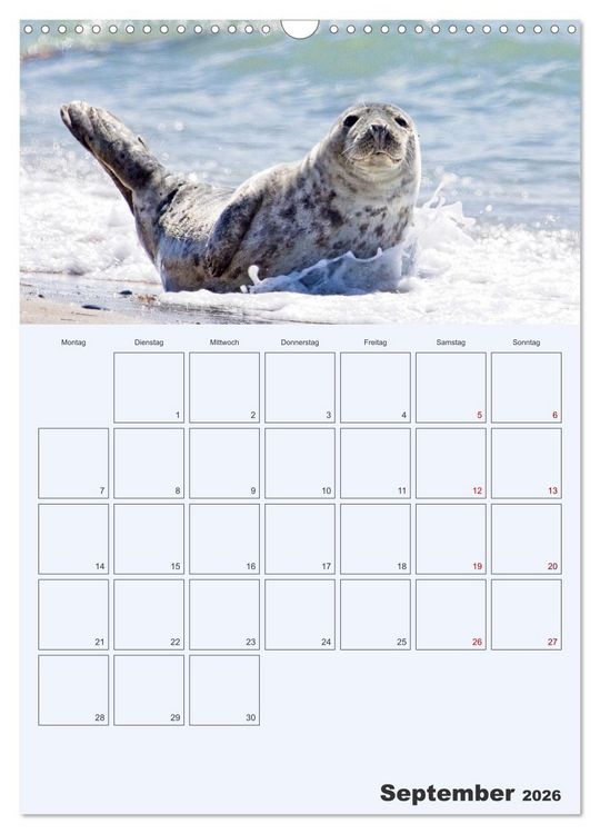Produktbild: Wildes Leben auf Helgoland (Wandkalender 2026 DIN A3 hoch), CALVENDO Monatskalender
