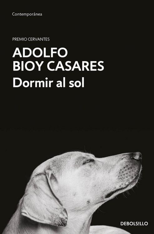 Produktbild: Dormir Al Sol / Asleep in the Sun