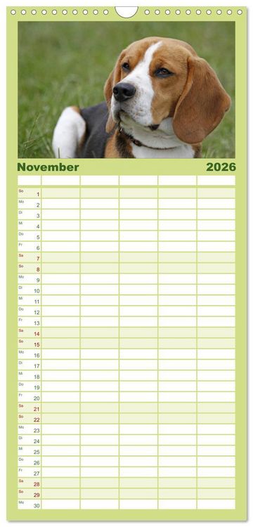 Produktbild: Familienplaner 2026 - DER BEAGLEige TERMINPLANER mit 5 Spalten (Wandkalender, 21 x 45 cm) CALVENDO