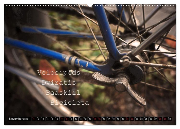 Produktbild: Weltfahrrad (hochwertiger Premium Wandkalender 2026 DIN A2 quer), Kunstdruck in Hochglanz