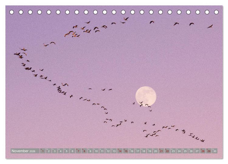 Produktbild: Vollmond - Momente der Ruhe (Tischkalender 2026 DIN A5 quer), CALVENDO Monatskalender