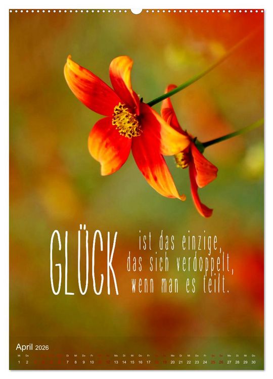 Produktbild: ICH W&Uuml;NSCHE DIR GL&Uuml;CK - 12 Monate mit inspirierenden Gl&uuml;ckszitaten (hochwertiger Premium Wandkalender 2026 DIN A2 hoch), Kunstdruck in Hochglanz