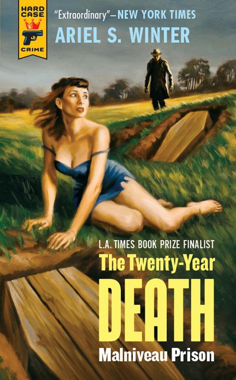 Produktbild: Malniveau Prison (The Twenty-Year Death trilogy book 1)