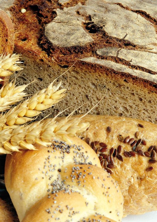 Cilli Reisingers Brotbackbuch