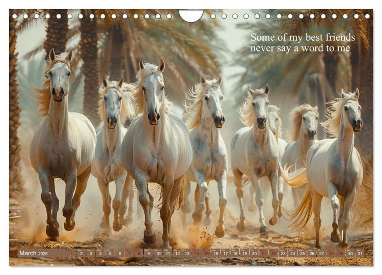 Produktbild: A Horse Makes You Complete (Wall Calendar 2026 DIN A4 landscape), CALVENDO 12 Month Wall Calendar