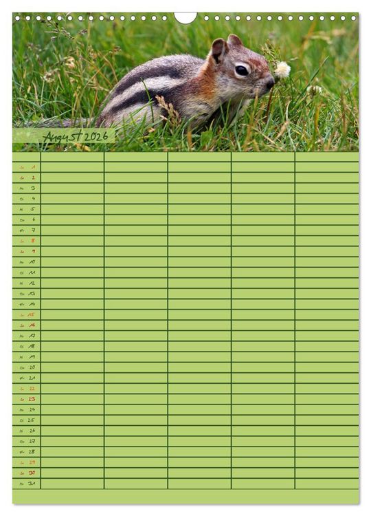 Produktbild: Tierischer Familienplaner (Wandkalender 2026 DIN A3 hoch), CALVENDO Monatskalender