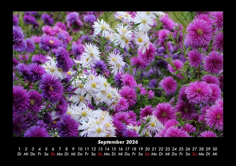 Produktbild: Blumenzauber 2026 Fotokalender DIN A3