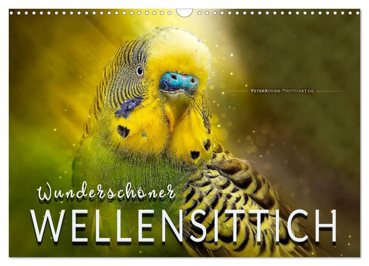 Produktbild: Wundersch&ouml;ner Wellensittich (Wandkalender 2026 DIN A3 quer), CALVENDO Monatskalender