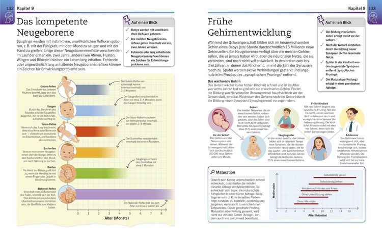 Produktbild: Visuelles Wissen. Psychologie