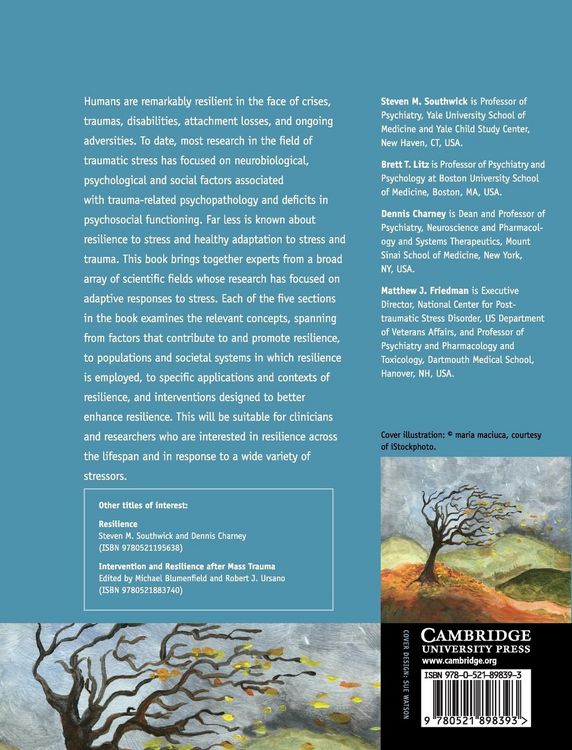 Produktbild: Resilience and Mental Health