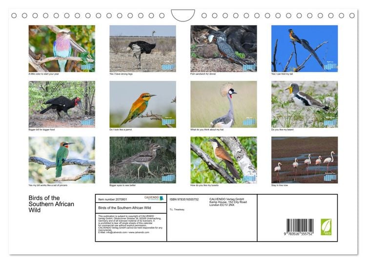Produktbild: Birds of the Southern African Wild (Wall Calendar 2026 DIN A4 landscape), CALVENDO 12 Month Wall Calendar