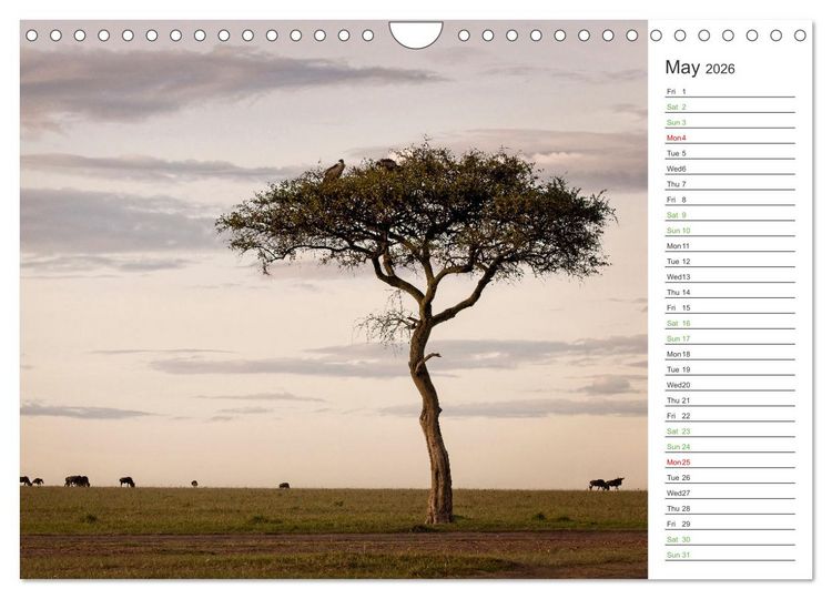 Produktbild: Kenya - its Wildlife (Wall Calendar 2026 DIN A4 landscape), CALVENDO 12 Month Wall Calendar