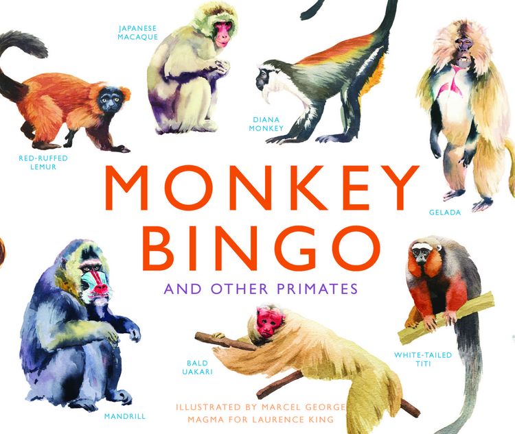 Produktbild: Monkey Bingo