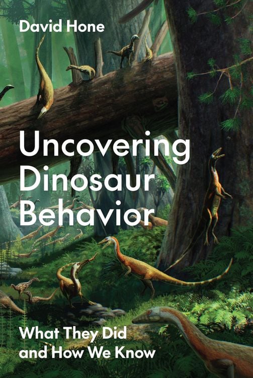 Produktbild: Uncovering Dinosaur Behavior