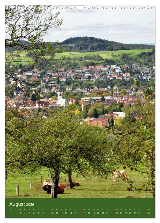 Produktbild: Pfullingen ... meine Stadt (Wandkalender 2026 DIN A3 hoch), CALVENDO Monatskalender