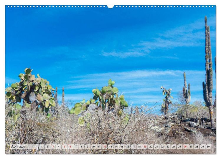 Produktbild: Die Galapagosinseln - Santa Cruz Island (hochwertiger Premium Wandkalender 2026 DIN A2 quer), Kunstdruck in Hochglanz