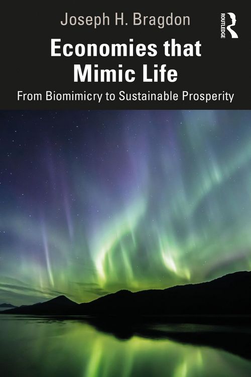 Produktbild: Economies that Mimic Life