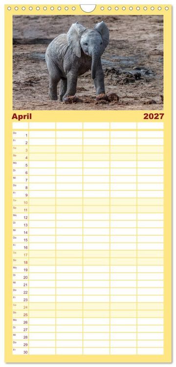 Produktbild: Familienplaner 2027 - Afrikas Tierwelt: Elefantenbabys mit 5 Spalten (Wandkalender, 21 x 45 cm) CALVENDO
