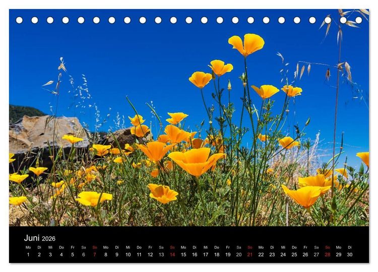Produktbild: Teneriffa (Tischkalender 2026 DIN A5 quer), CALVENDO Monatskalender