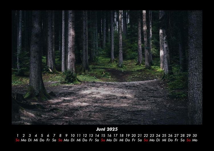 Produktbild: Waldzauber 2025 Fotokalender DIN A3