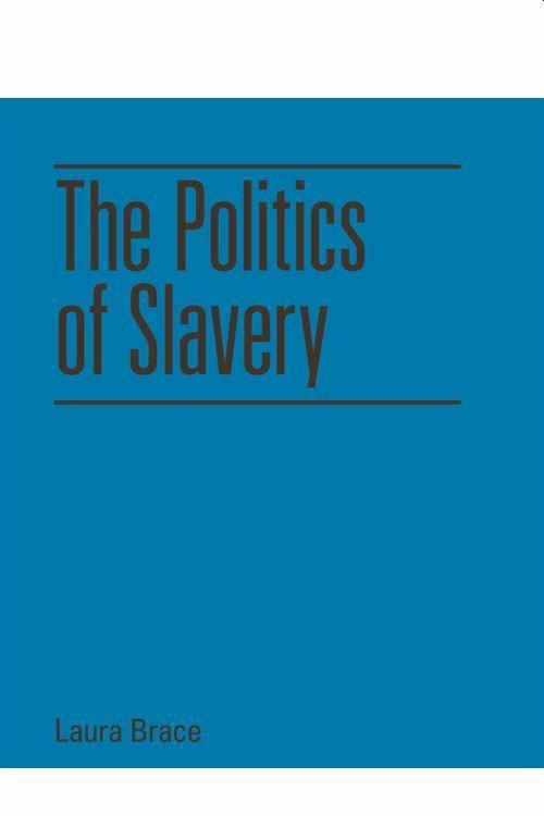 Produktbild: The Politics of Slavery