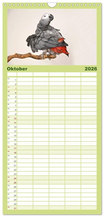 Produktbild: Familienplaner 2026 - Graupapageien zum Verlieben mit 5 Spalten (Wandkalender, 21 x 45 cm) CALVENDO