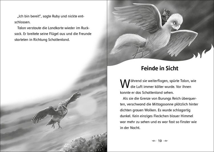 Produktbild: Der letzte Feuerfalke und das Schattenland (Band 5)
