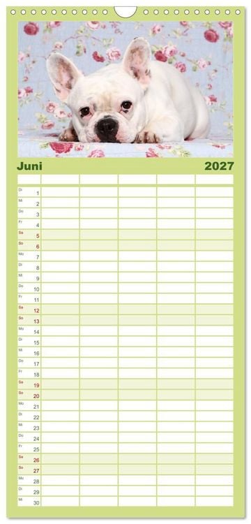 Produktbild: Familienplaner 2027 - Der Bully - Kalender Familienplaner hoch mit 5 Spalten (Wandkalender, 21 x 45 cm) CALVENDO
