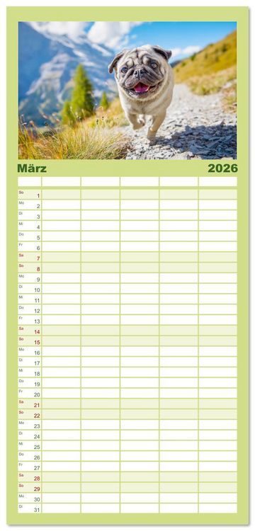 Produktbild: Familienplaner 2026 - Mops trifft Berglust. Fidele Gipfelst&uuml;rmer im H&ouml;henrausch mit 5 Spalten (Wandkalender, 21 x 45 cm) CALVENDO