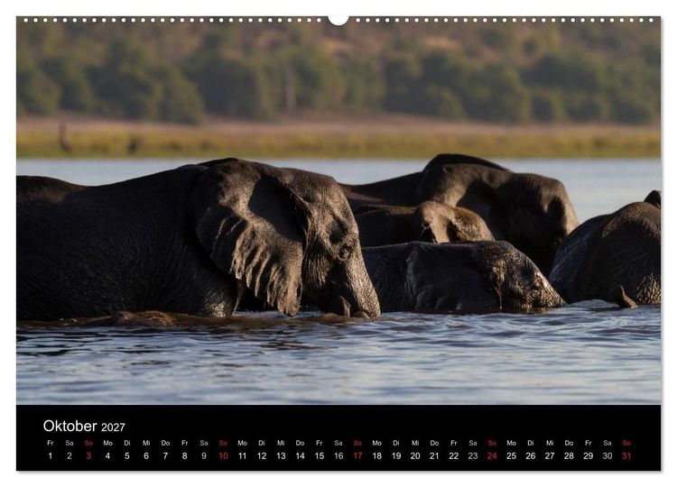 Produktbild: Elefanten - Die sanften Riesen Afrikas (Wandkalender 2027 DIN A2 quer), CALVENDO Monatskalender