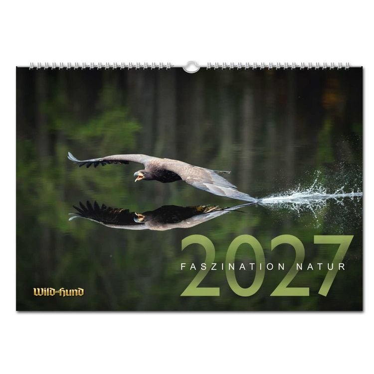Produktbild: Wild und Hund Edition: Faszination Natur Kalender 2027
