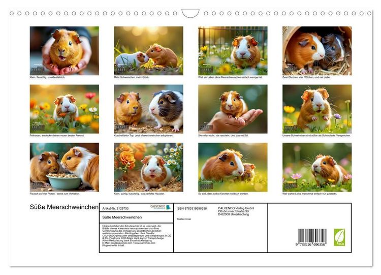 Produktbild: S&uuml;&szlig;e Meerschweinchen (Wandkalender 2026 DIN A3 quer), CALVENDO Monatskalender