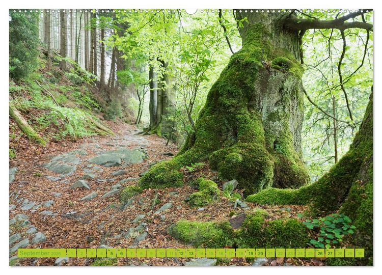 Produktbild: Eifel Sehnsucht (hochwertiger Premium Wandkalender 2026 DIN A2 quer), Kunstdruck in Hochglanz