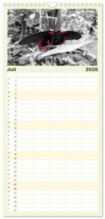Produktbild: Familienplaner 2026 - Gefl&uuml;gelte Sch&ouml;nheiten der Tropen mit 5 Spalten (Wandkalender, 21 x 45 cm) CALVENDO