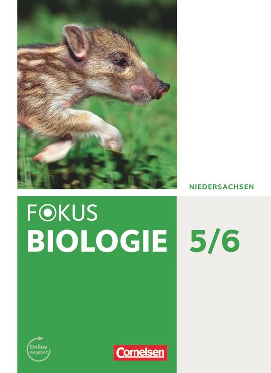 Produktbild: Fokus Biologie - Neubearbeitung - Gymnasium Niedersachsen G9 - 5./6. Schuljahr
