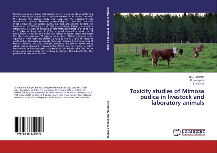 Produktbild: Toxicity studies of Mimosa pudica in livestock and laboratory animals