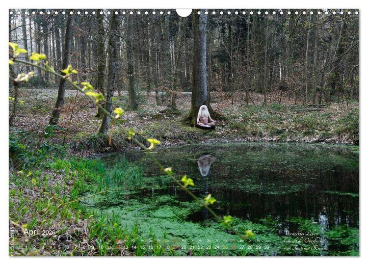 Produktbild: HAIKU AM TEICH (Wandkalender 2026 DIN A3 quer), CALVENDO Monatskalender