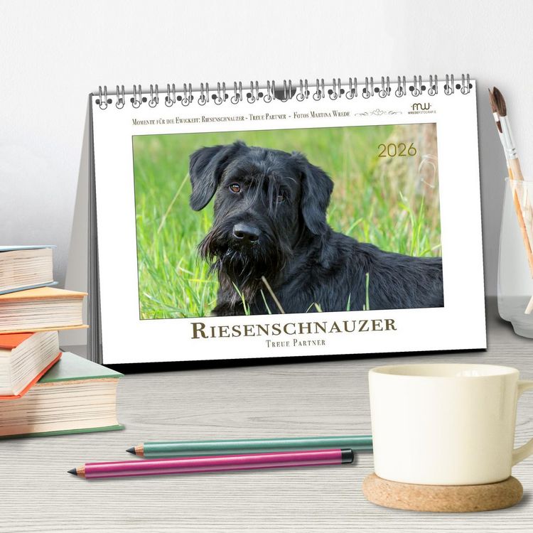 Produktbild: Riesenschnauzer - Treue Partner (Tischkalender 2026 DIN A5 quer), CALVENDO Monatskalender