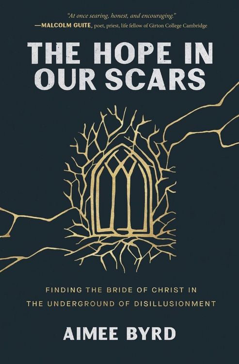 Produktbild: The Hope in Our Scars