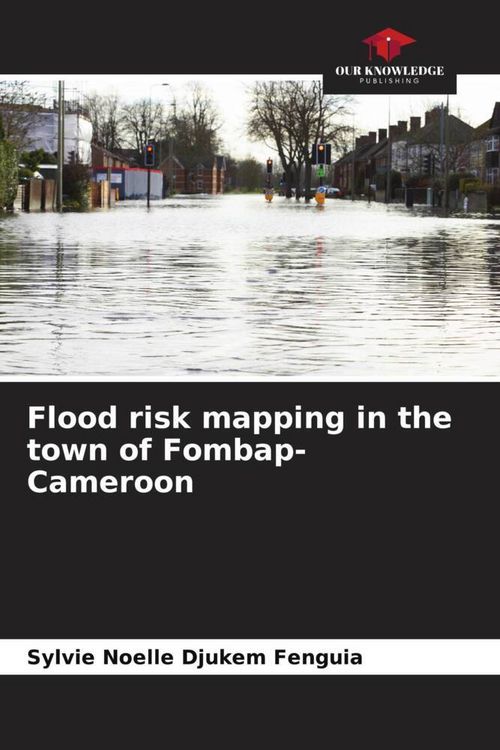 Produktbild: Flood risk mapping in the town of Fombap-Cameroon