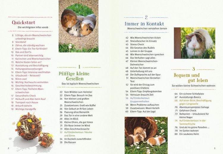 Produktbild: Neugierige Meerschweinchen