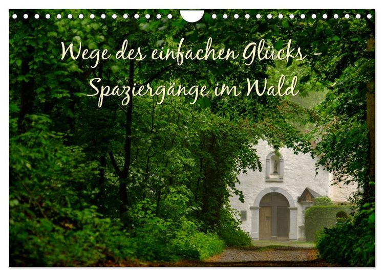 Produktbild: Wege des einfachen Gl&uuml;cks - Spazierg&auml;nge im Wald (Wandkalender 2026 DIN A4 quer), CALVENDO Monatskalender