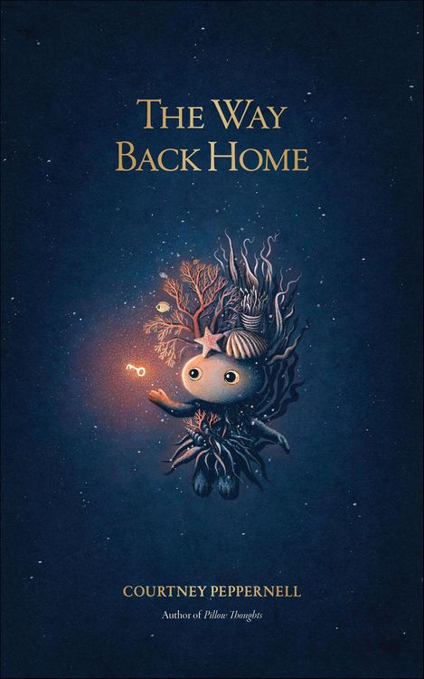 Produktbild: The Way Back Home