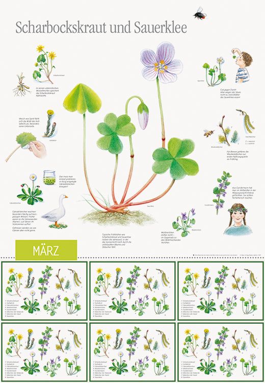 Produktbild: Natur erleben durch das Jahr - 1