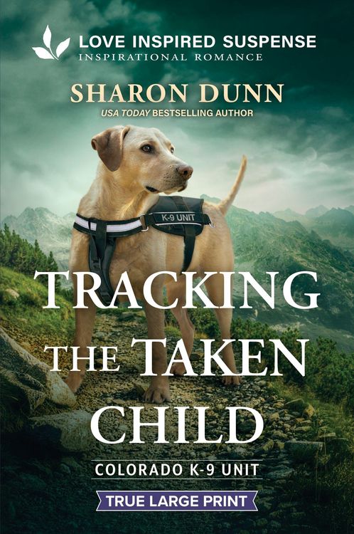 Produktbild: Tracking the Taken Child