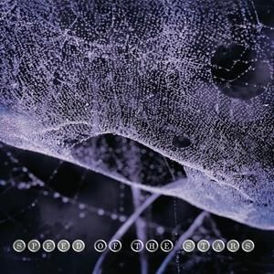 Produktbild: Speed Of Stars (Steve Kilbey & Frank Kearns)